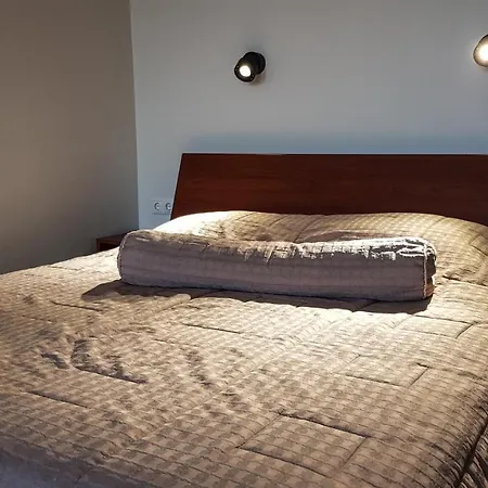 Old Lägenhet Kaunas