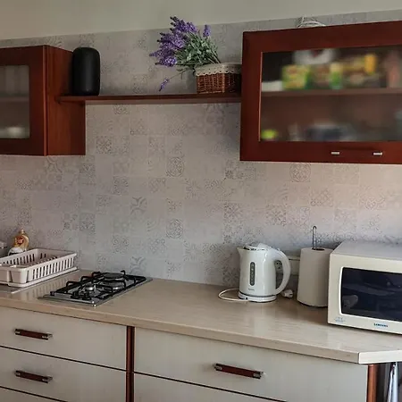 Old Lägenhet Kaunas