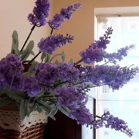 Apartmán Old Kaunas