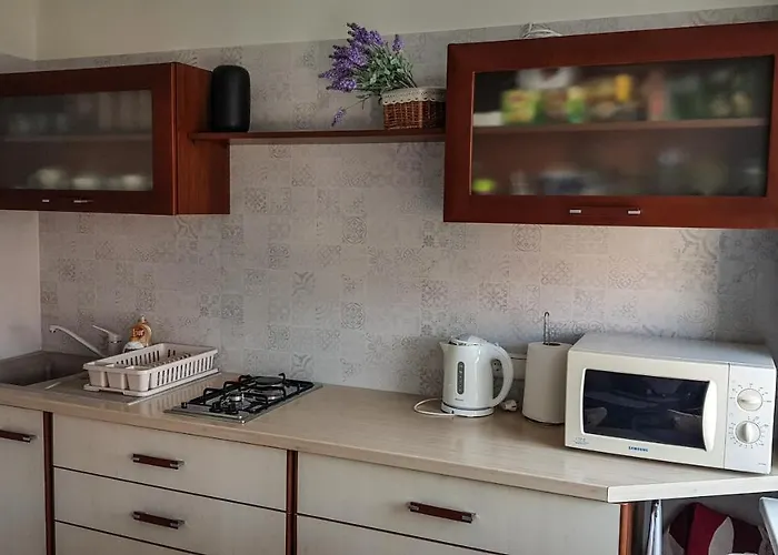 Old Lejlighed Kaunas