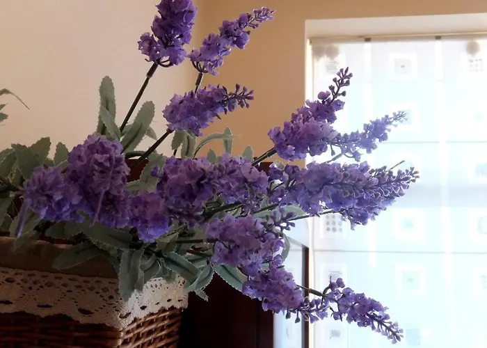 Lejlighed Old Kaunas